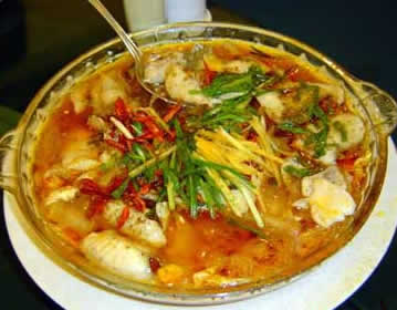 健脾催乳食譜：豬排燉黃豆芽湯