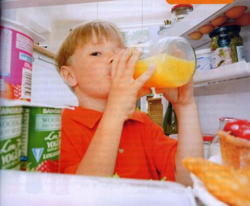 食品添加劑的定義、分類及使用原則