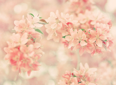 2014年5月12生肖的運勢詳解