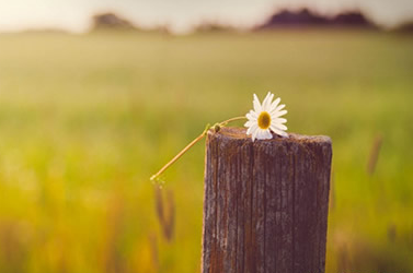 2014年6月星座運勢：雙子座6月運勢解析