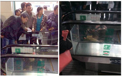 3歲男孩滾落手扶梯被夾 寶寶怎樣安全乘電梯