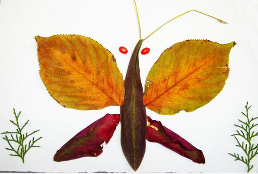 五一勞動(dòng)節(jié)幼兒手工制作：《樹(shù)葉畫(huà)》