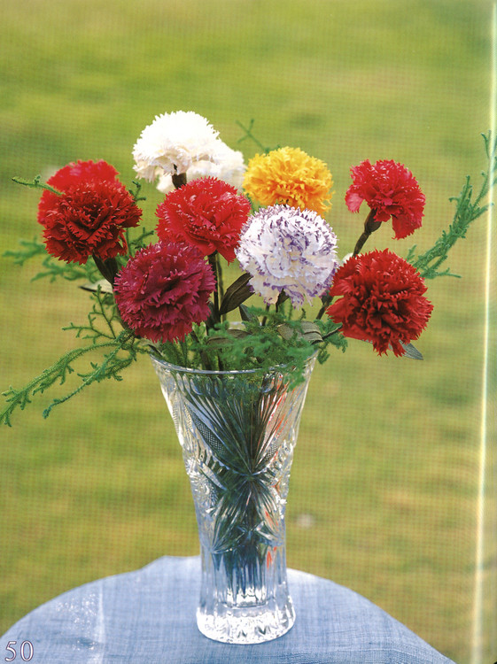 母親節兒童手工制作：康乃馨折紙