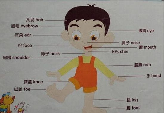 幫助寶寶認識身體的小游戲