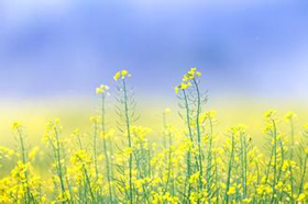 如何教寶寶認識顏色