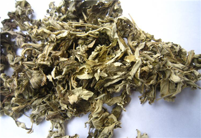 孕婦可以用艾葉洗澡嗎