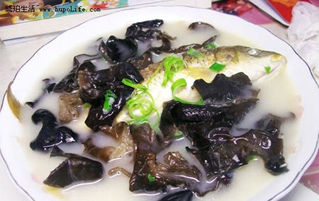 孕婦怎么吃木耳好 六款零基礎(chǔ)”木耳大餐“學起來