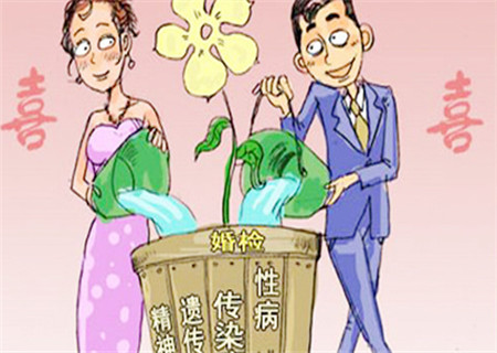 婚前檢查要多少錢