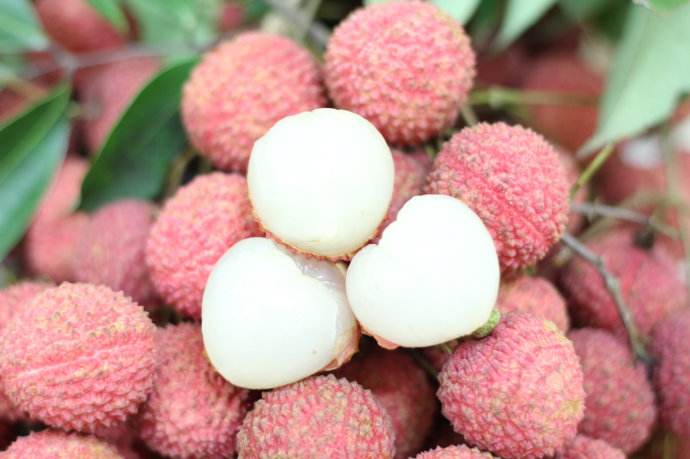 吃荔枝會(huì)胖嗎？喜歡吃荔枝的朋友們注意啦