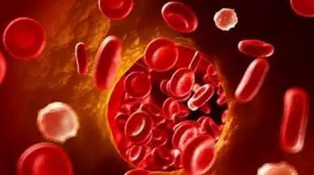 老公患了血液病可能會遺傳，但我還是想生個寶寶，因為我愛他