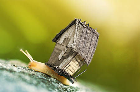 前二十強奶粉品牌口碑排行榜發布