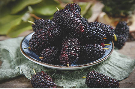 是什么讓孩子終將走向獨立？