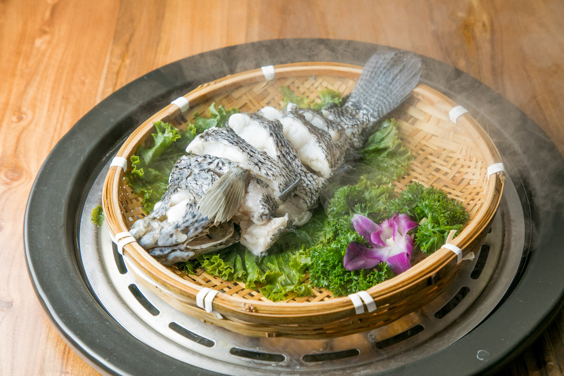 桂魚(yú)怎么釣用什么餌