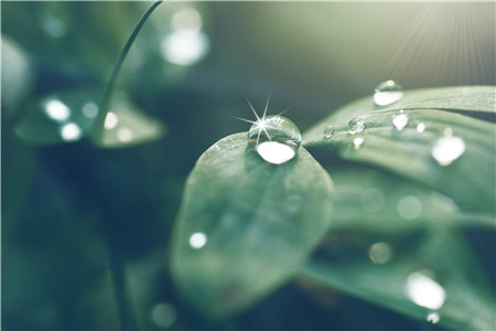 回南天和梅雨的區別
