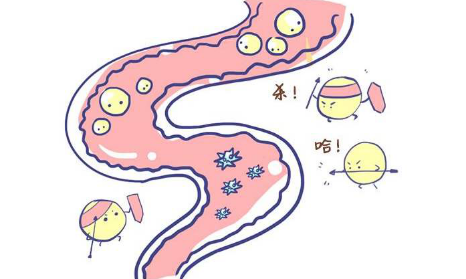 界界樂scode益生菌粉，讓你時刻充滿活力