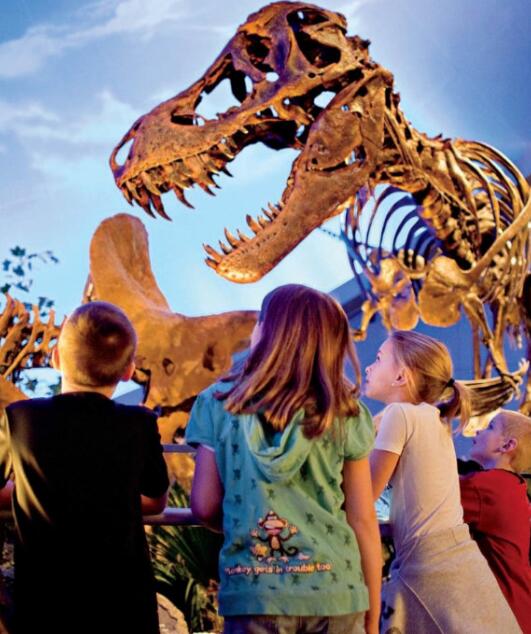 《Dinosaurs》國家地理分級繪本pdf資源免費下載