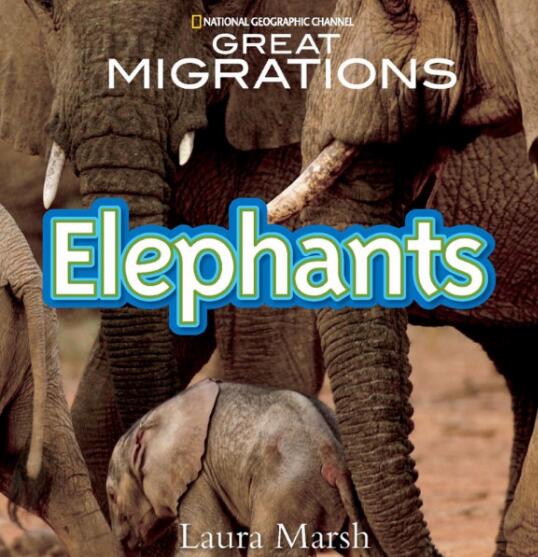 《Great Migrations Elephants》科普繪本pdf資源免費下載