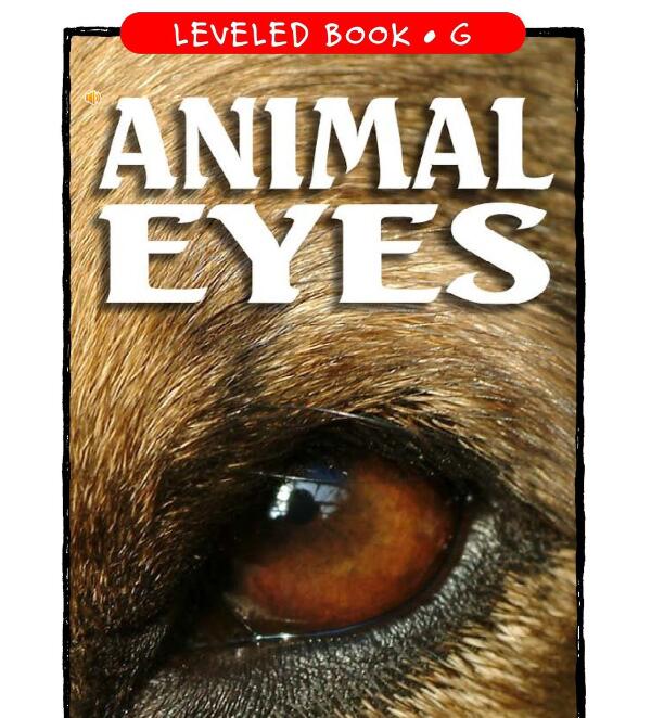 《Animal Eyes》RAZ分級英文繪本pdf資源免費下載