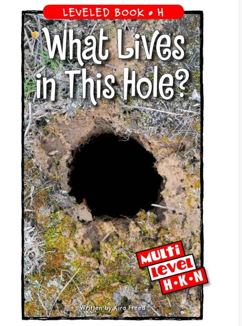 《What Lives in This Hole》RAZ分級繪本paf資源免費下載
