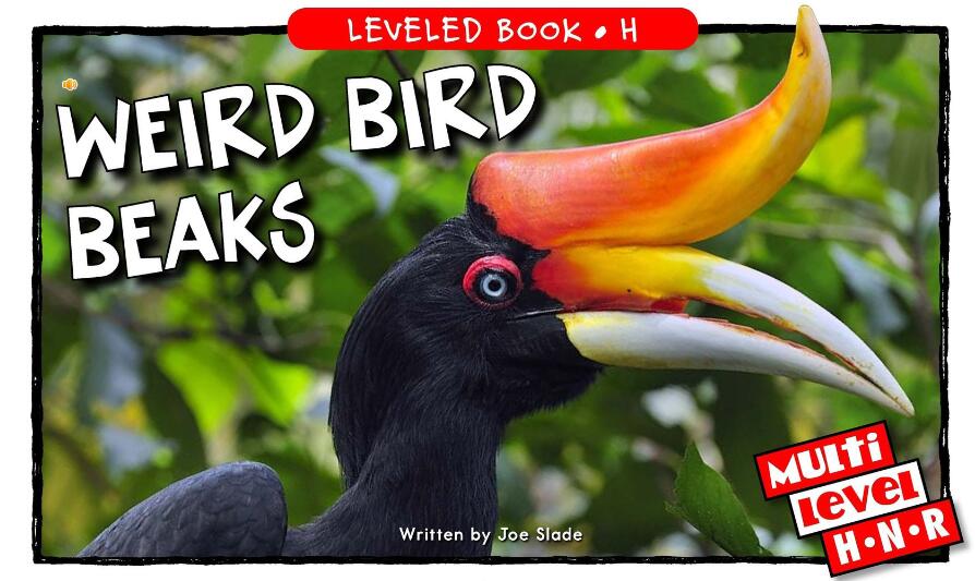 《Weird Bird Beaks》RAZ分級電子繪本pdf資源免費下載