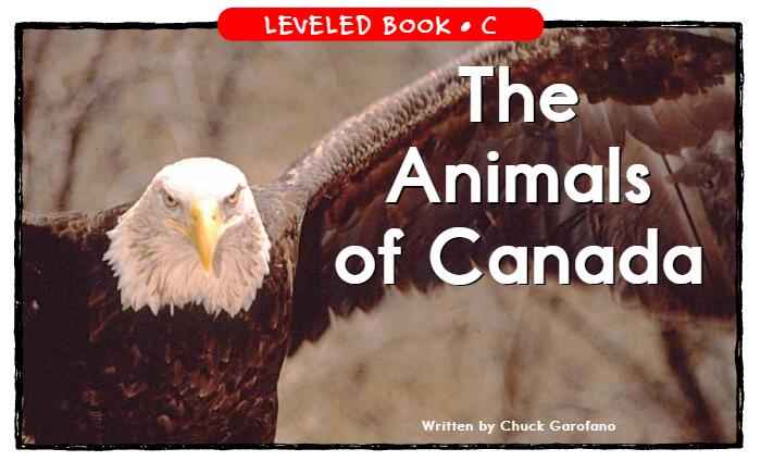 《The Animals of Canada》RAZ分級繪本pdf資源免費下載