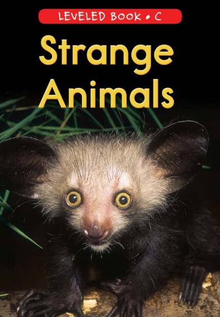 《Strange Animals》RAZ分級閱讀繪本pdf資源免費下載