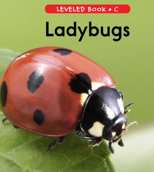 《Ladybugs》RAZ分級閱讀繪本pdf資源免費下載