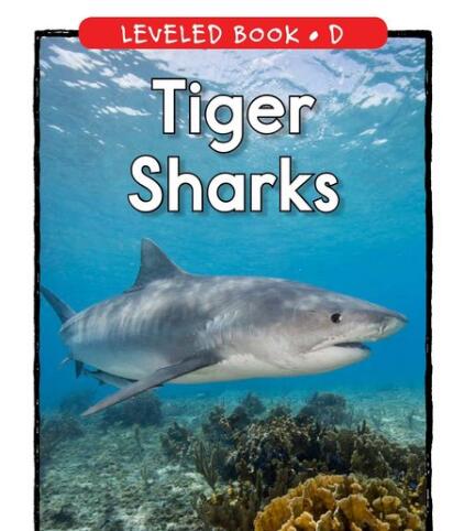 《Tiger Sharks》RAZ分級閱讀繪本pdf資源免費下載