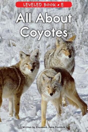 《All About Coyotes》RAZ分級繪本pdf資源免費下載