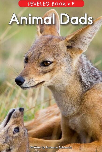 《Animal Dads》RAZ分級英文繪本pdf資源免費(fèi)下載