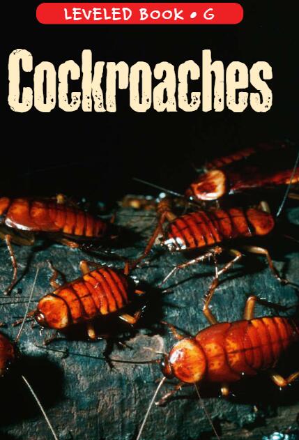 《Cockroaches》RAZ分級(jí)英語繪本paf資源免費(fèi)下載