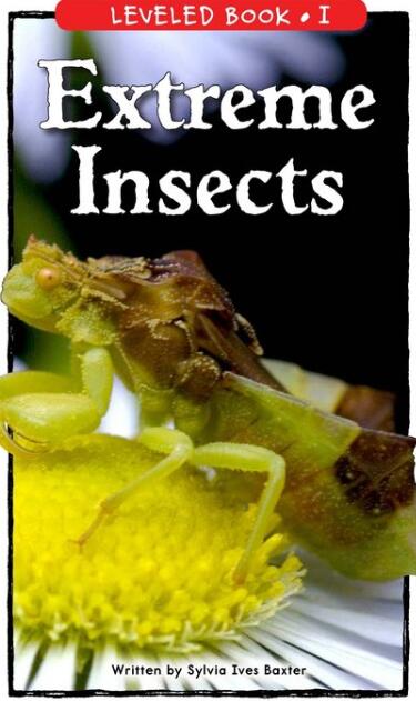 《Extreme Insects》RAZ分級繪本pdf資源免費下載