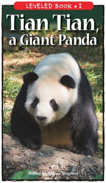 《Tian Tian,a Giant Panda》RAZ繪本pdf資源免費下載