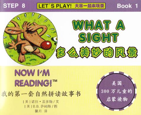 《What a Sight》自然拼讀英文繪本pdf資源免費下載