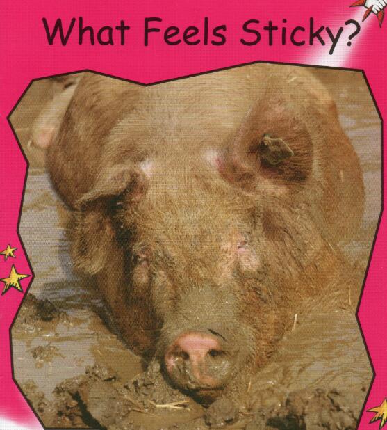 《What Feels Sticky》紅火箭繪本pdf資源免費下載