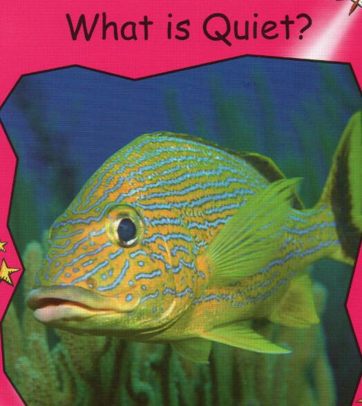 《What is Quiet》紅火箭繪本pdf資源免費(fèi)下載