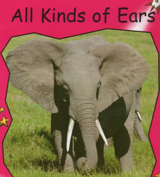 《All Kinds Of Ears》紅火箭繪本pdf資源免費下載
