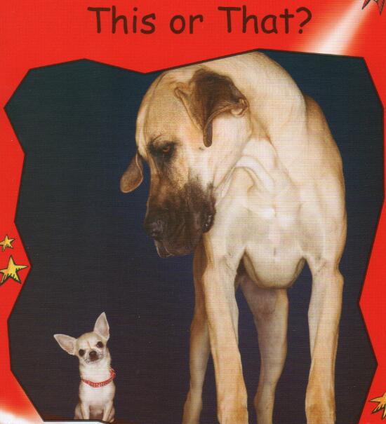 《This or That》紅火箭分級繪本pdf資源免費下載