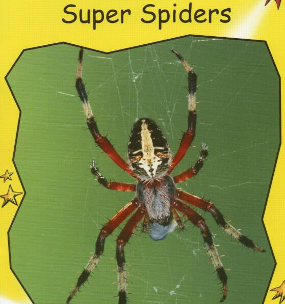 《Super Spiders》紅火箭分級繪本pdf資源免費下載
