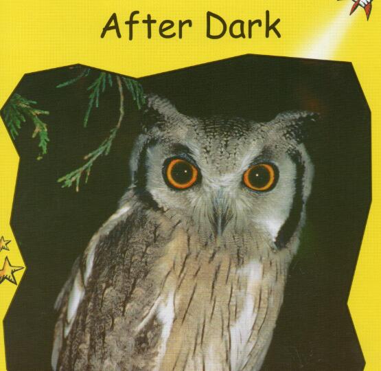 《After Dark》紅火箭分級繪本pdf資源免費下載