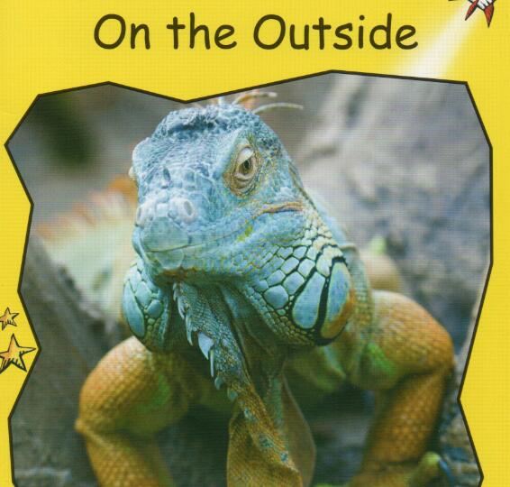 《On the Outside》紅火箭分級繪本pdf資源免費下載