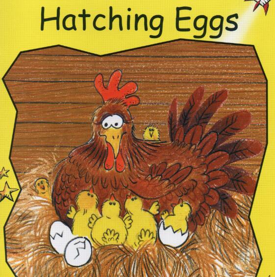 《Hatching Eggs》紅火箭分級繪本pdf資源免費下載