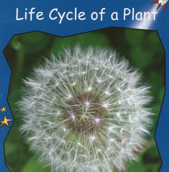 《Life Cycle of a Plant》紅火箭分級繪本pdf資源免費下載