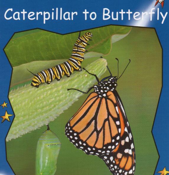 《Caterpillar to Butterfly》紅火箭分級繪本pdf資源免費下載