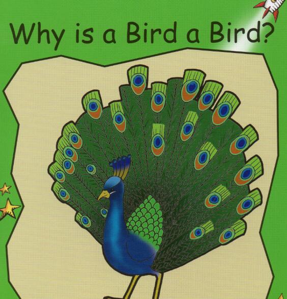 《Why is a Bird a Bird》紅火箭分級繪本pdf資源免費(fèi)下載