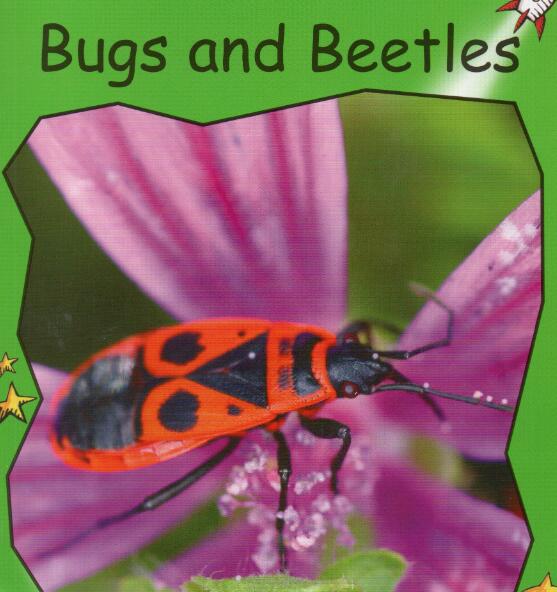 《Bugs and Beetles》紅火箭分級繪本pdf資源免費下載