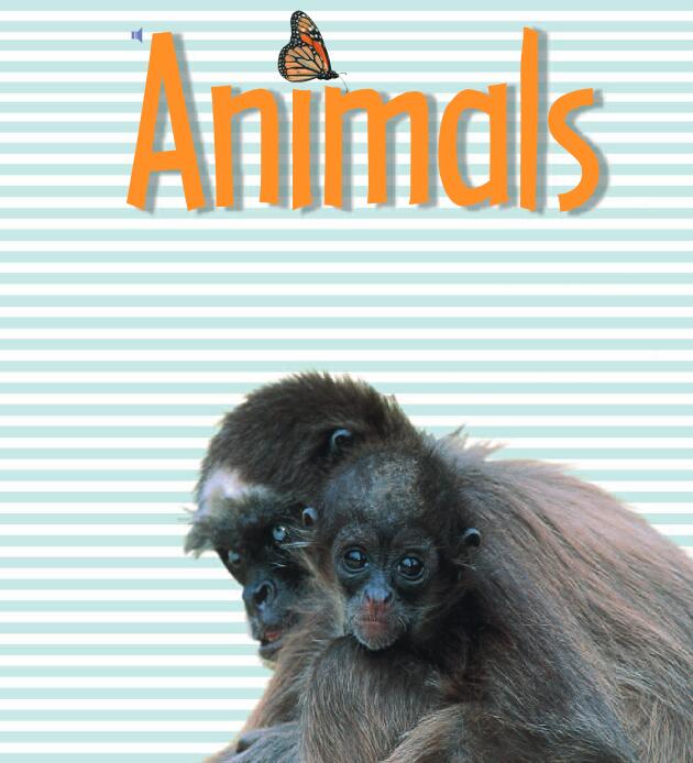 《Animals》兒童英語分級繪本pdf資源免費下載