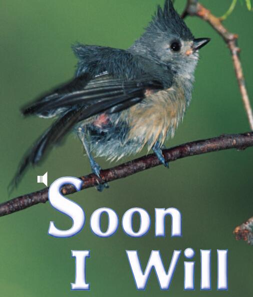 《Soon I Will》兒童英語分級讀物pdf資源免費下載
