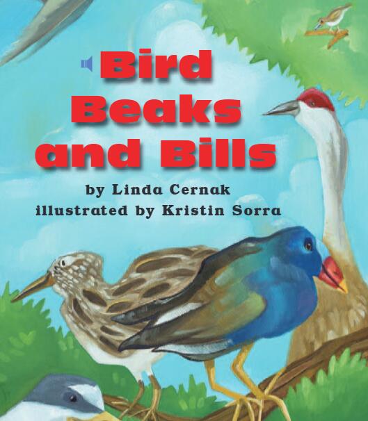 《Bird Beaks and Bills》兒童英語分級讀物pdf資源免費下載