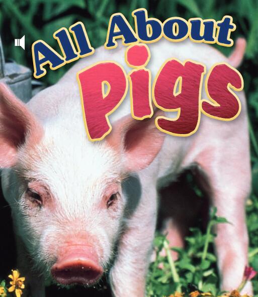 《All About Pigs》兒童英語分級讀物pdf資源免費下載